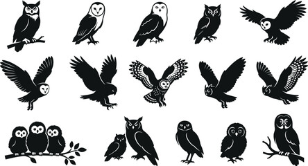 Obraz premium Black and white of various birds, including eagles, parrots, penguins, and owls