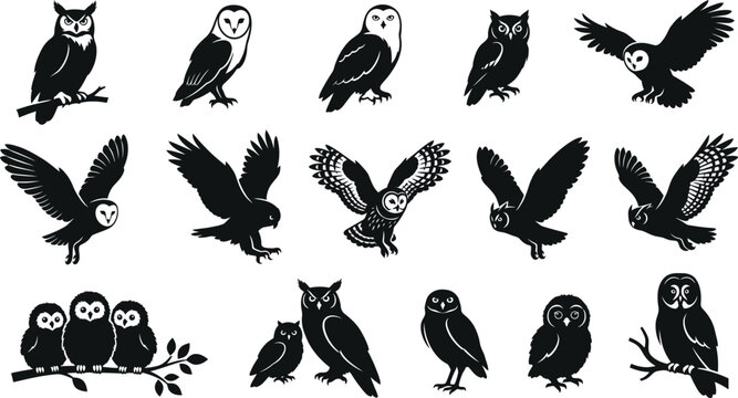 Black and white of various birds, including eagles, parrots, penguins, and owls
