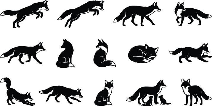 Black silhouette of various animals including mammals, reptiles, and birds black animal silhouettes