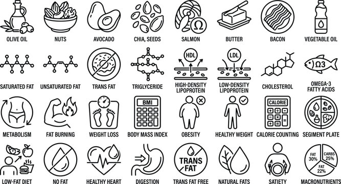 Fat Nutrition and Metabolism Icon Set