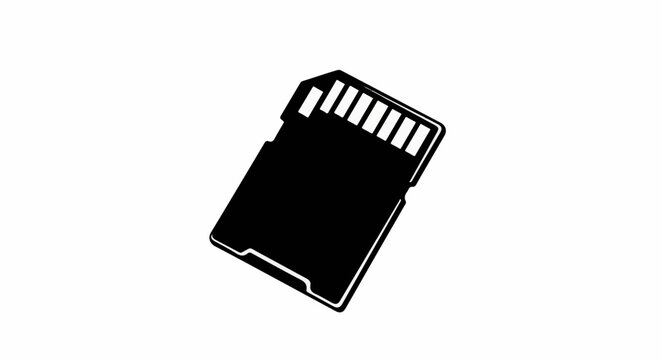 A black silhouette of a compact flash memory card is shown on a white background