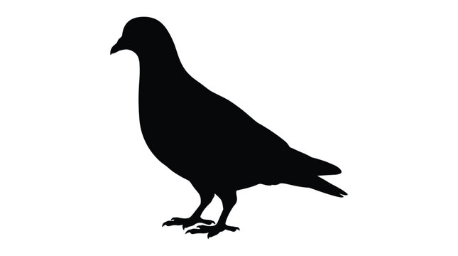 Pigeon Silhouette Against A White Background Flat Vector Illustration