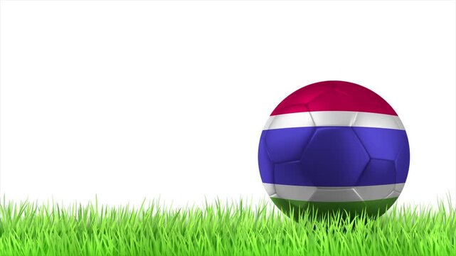 GAMBIA Flag Soccer Ball Rolling on Green Grass Animation with Copy Space