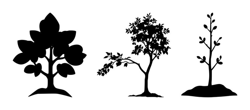 Solid black icon, white background: reforestation tree sapling set with simple line art design featuring sketches, drawings, vector graphics with minimalist and simple illustrations