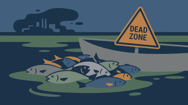 Mass Fish Die-Off Event From Oxygen Depleted Dead Zone
