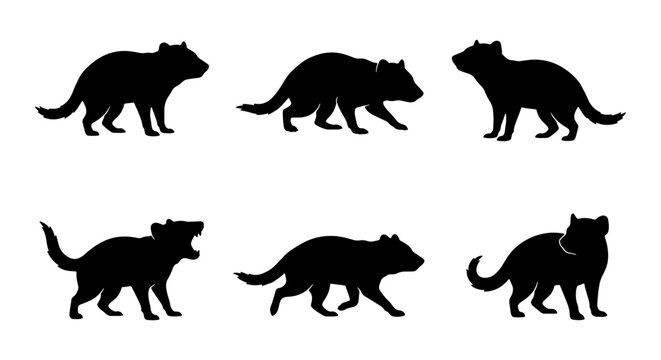 Tasmanian Devil Silhouettes, Wildlife Vector Icons, Animal Poses, Black Mammal Graphics, Australian Fauna Collection