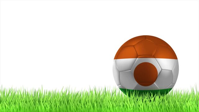 NIGER Flag Soccer Ball Rolling on Green Grass Animation with Copy Space