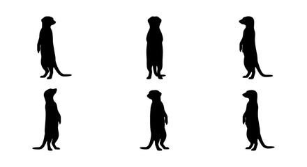Meerkat Silhouettes, Standing Guard, Wildlife Vector Icons, African Animals, Desert Fauna, Simple Black and White Graphics © Shariful