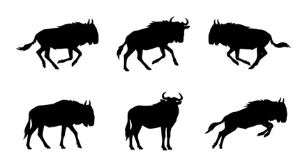 Wildebeest Silhouette Set: Six Dynamic Poses of African Antelope Vector Graphics for Wildlife and Safari Designs © Shariful