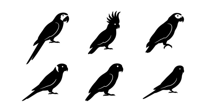 Vector Silhouette Collection: Diverse Parrot Species, Tropical Birds, Exotic Avian Icons for Nature and Wildlife Design