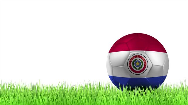 PARAGUAY Flag Soccer Ball Rolling on Green Grass Animation with Copy Space