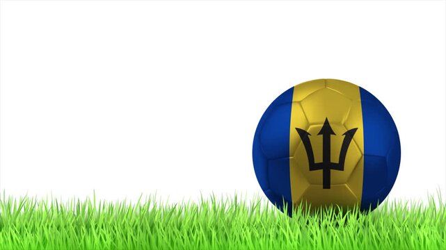 BARBADOS Flag Soccer Ball Rolling on Green Grass Animation with Copy Space