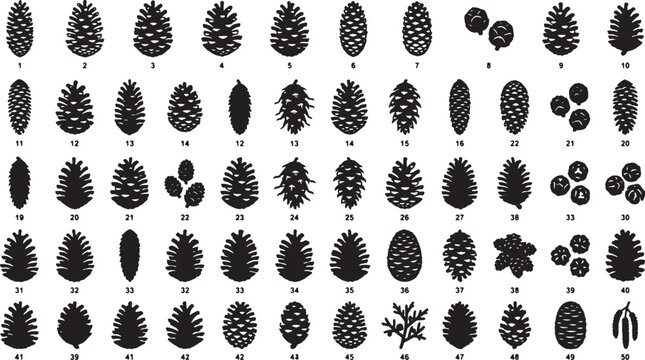 Vector Collection of 50 Pinecone Illustrations, Diverse Shapes and Sizes, Black and White Botanical Icons for Nature Design