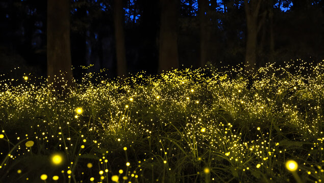 Enchanted Meadow at Dusk: Thousands of fireflies illuminate a dense meadow at twilight, their bioluminescent glow creating a magical and surreal spectacle amidst the silhouette of trees.