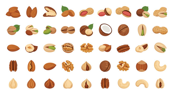 Huge collection of various types of nuts like almonds, peanuts, walnuts, and cashews shown in whole, shelled, and opened states.