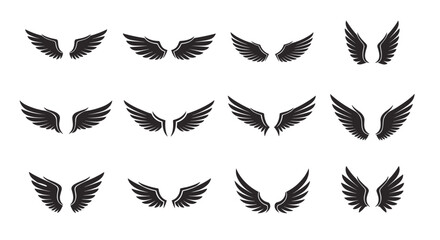 Obraz premium Collection of twelve black bird wing silhouettes with different shapes and feather patterns on a plain white background.