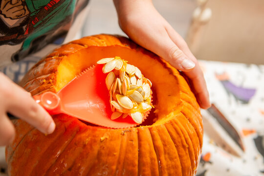 Child uses a red plastic scoop to lift seeds and stringy pulp from inside an orange pumpkin while carving for Halloween, capturing the messy middle step of an autumn family tradition.