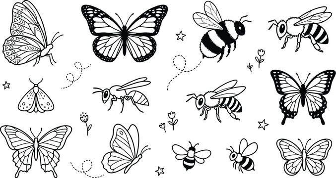 Insects line art vector illustration set featuring hand drawn monarch butterflies, honey bees, bumblebees, garden wasps, moths, and decorative little star elements.