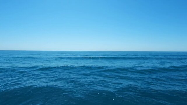 Pod of common dolphins swimming together in the open ocean with calm blue water and clear sunny sky, a beautiful wildlife scenery in the vast seascape of the pacific ocean