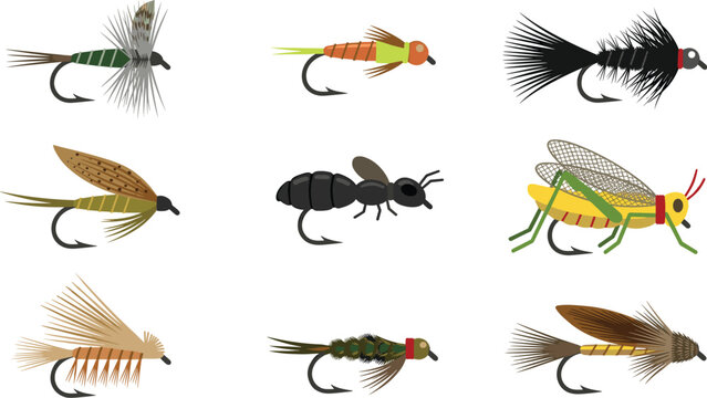 Fly fishing lures and artificial flies vector set featuring dry flies, nymphs, streamers, grasshopper, ant terrestrials, and sharp hooks for trout fishing.