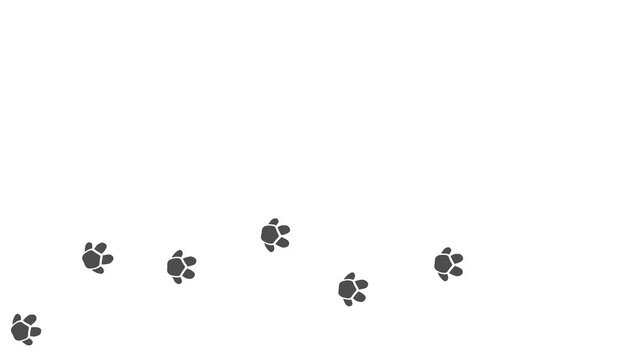 Animal paw prints. Footprints walking animal on a trajectory of movement. Tapir paw prints  on a white background.  4K.  Animated Video