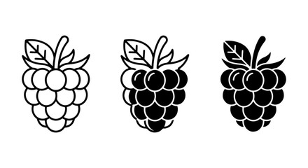Raspberry Icons Set: Outline, Filled Black, and Silhouette Vector Graphics for Food and Health Designs © Tumpa