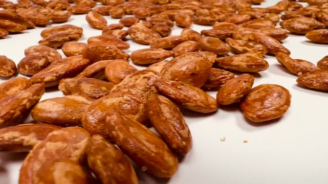Camera Panning Right to Left on Roasted Jaban Seeds Close-up, Roasted Crunchy Watermelon Seeds on White Surface, 16:9 Landscape Persian Nuts Food Footage