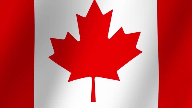 Close up of the Canadian flag waving with a prominent red maple leaf on a white background and red vertical stripes