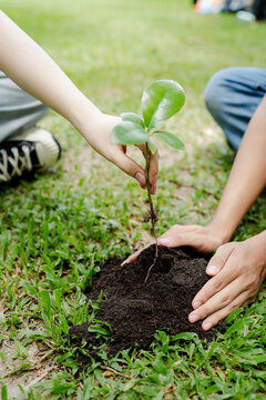 People planting a young sapling in dark soil, symbolizing environmental conservation, sustainable growth, future hope, nature protection, and reforesting efforts