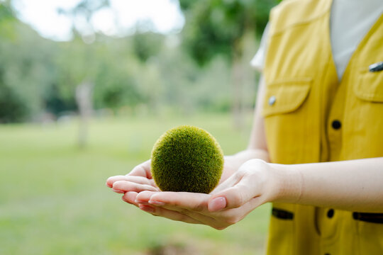 Woman's hands gently holding a green moss ball, symbolizing ecological responsibility, environmental conservation, and caring for a sustainable future for planet earth