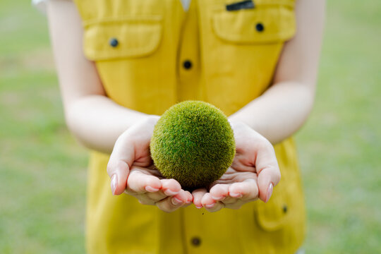 Person holding a green moss globe symbolizing environmental protection, nature preservation, sustainability, and ecological responsibility for a healthy planet earth