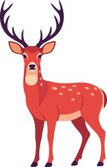 Obraz premium Red Deer Stag with Large Antlers.