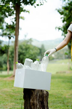 Hand in white glove placing an empty plastic bottle with a green cap into a recycling bin filled with bottles, highlighting waste sorting, sustainability, and environmental responsibility