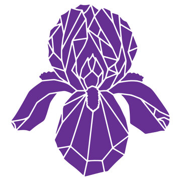 Purple iris flower mosaic illustration isolated on transparent background