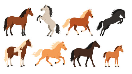 Obraz premium Collection of horses in different poses on white background