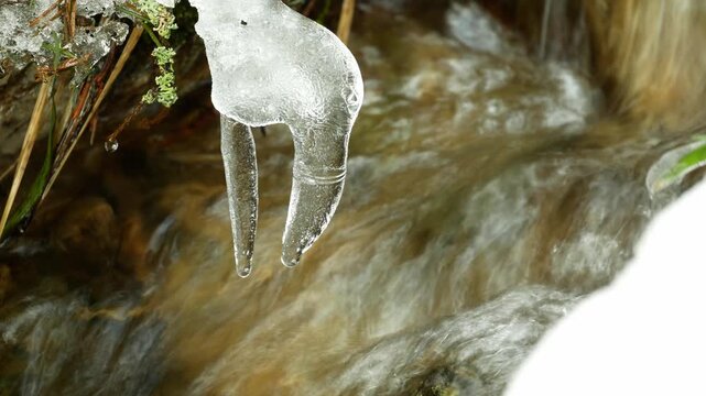 River snowmelt ice flowing clear stream famous Bila Opava clean calm bodies water ecosystem spring left tributary flows Opole voivodeship mountain streams below the peak of Praded Barborka cottage