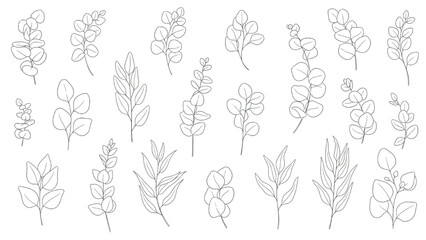 Fototapeta premium Eucalyptus Leaf Sprigs Vector Collection Minimal Botanical Branches and Foliage Elements Set