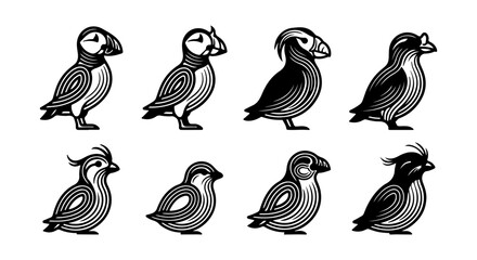 Puffin Bird Collection, Avian Wildlife Vector Set, Ornithology Illustration, Nature Graphics © Muntaha