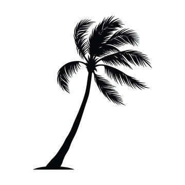 Black silhouette of a single palm tree blowing in the wind isolated on a white background