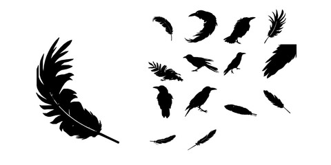 Obraz premium Crow Feather Silhouette