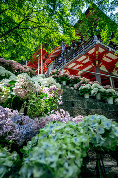 初夏の談山神社