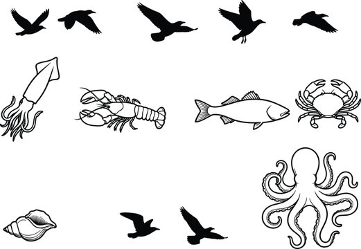 Collection of marine life animals, sea creatures, and flying seabird silhouettes isolated on a white background