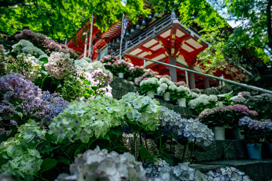 初夏の談山神社