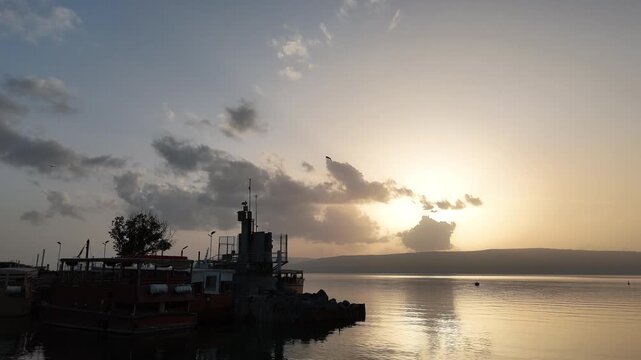 Cinematic Drone Footage Executing a Graceful Tilt-Up Reveal from the Ein Gev Marina to a Flock of Birds Soaring Against a Golden Sunset Over the Sea of Galilee at Atmospheric Wildlife Silhouettes at T