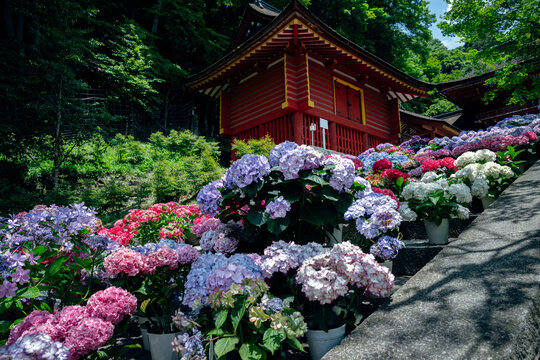 初夏の談山神社