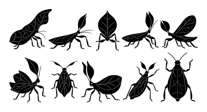 A collection of nine insect silhouettes showcasing various bugs and beetles in different poses on a plain surface.
