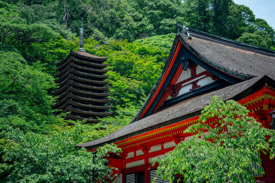 初夏の談山神社