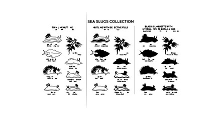 Naklejka premium Sea Slugs Collection, Marine Mollusks, Underwater Wildlife, Nature Illustration Vector Set