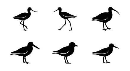 Fototapeta premium Shorebird Silhouettes Collection, Wading Bird Poses Vector Set, Coastal Wildlife Icons