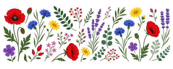 Obraz premium Collection of colorful wildflowers and herbs in a decorative pattern